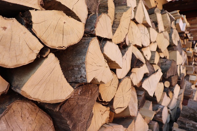 hromada dřeva